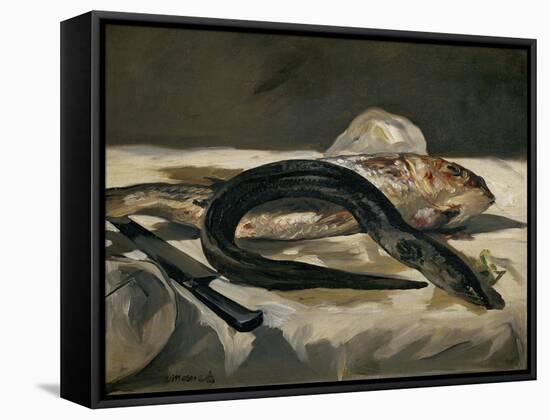 Eel and Red Mullet, 1864-Edouard Manet-Framed Stretched Canvas