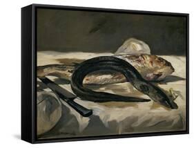 Eel and Red Mullet, 1864-Edouard Manet-Framed Stretched Canvas