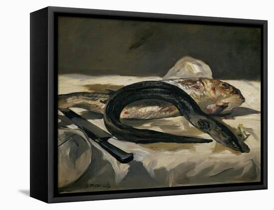 Eel and Red Mullet, 1864-Edouard Manet-Framed Stretched Canvas