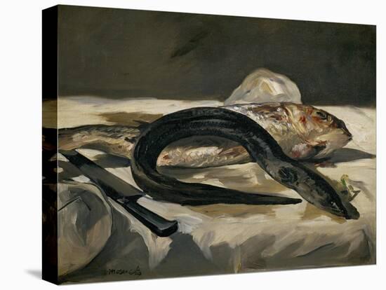 Eel and Red Mullet, 1864-Edouard Manet-Stretched Canvas