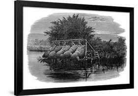 Eel Bucks on the Thames, 19th Century-null-Framed Giclee Print