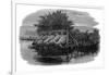 Eel Bucks on the Thames, 19th Century-null-Framed Premium Giclee Print