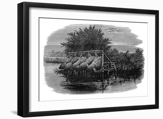 Eel Bucks on the Thames, 19th Century-null-Framed Giclee Print