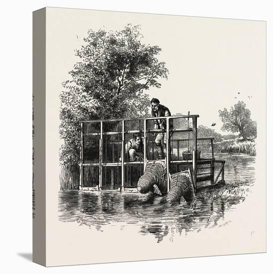 Eel Bucks on the Thames, Scenery of the Thames, UK, 19th Century-null-Stretched Canvas