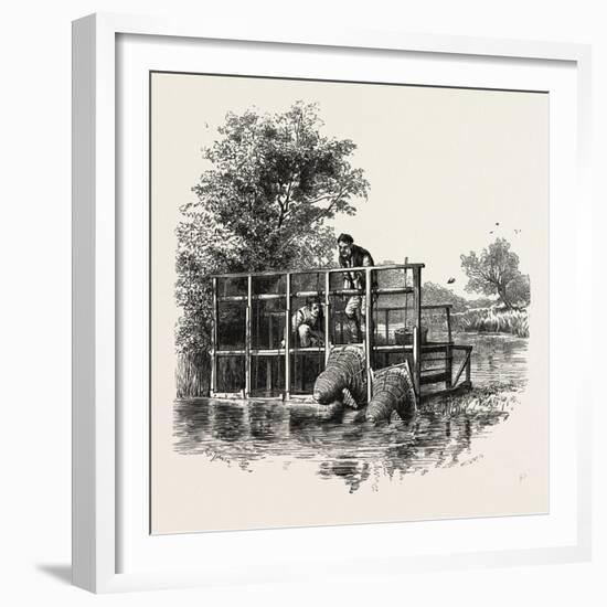 Eel Bucks on the Thames, Scenery of the Thames, UK, 19th Century-null-Framed Giclee Print