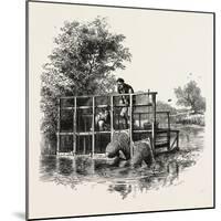 Eel Bucks on the Thames, Scenery of the Thames, UK, 19th Century-null-Mounted Giclee Print