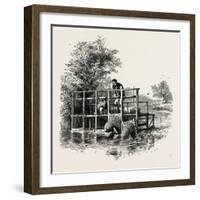 Eel Bucks on the Thames, UK-null-Framed Giclee Print