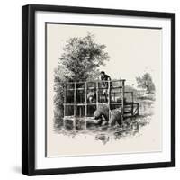 Eel Bucks on the Thames, UK-null-Framed Giclee Print