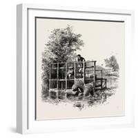 Eel Bucks on the Thames, UK-null-Framed Giclee Print