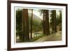 Eel River, Redwood Highway, California-null-Framed Premium Giclee Print