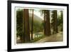 Eel River, Redwood Highway, California-null-Framed Premium Giclee Print