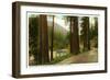 Eel River, Redwood Highway, California-null-Framed Art Print