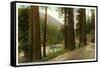 Eel River, Redwood Highway, California-null-Framed Stretched Canvas