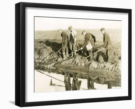 Eeling in Kent, 1930S-null-Framed Photographic Print