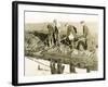 Eeling in Kent, 1930S-null-Framed Photographic Print