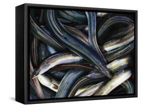 Eels-Jo Kirchherr-Framed Stretched Canvas