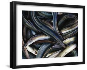 Eels-Jo Kirchherr-Framed Photographic Print
