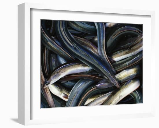 Eels-Jo Kirchherr-Framed Photographic Print