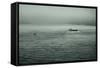 Eerie Look at Boats on the Hudson River in NYC-null-Framed Stretched Canvas