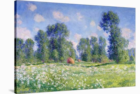 Effect of Spring, Giverny, 1890-Claude Monet-Stretched Canvas