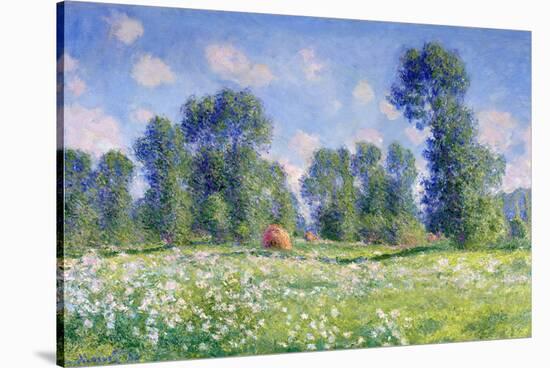 Effect of Spring, Giverny, 1890-Claude Monet-Stretched Canvas