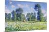 Effect of Spring, Giverny, 1890-Claude Monet-Mounted Premium Giclee Print