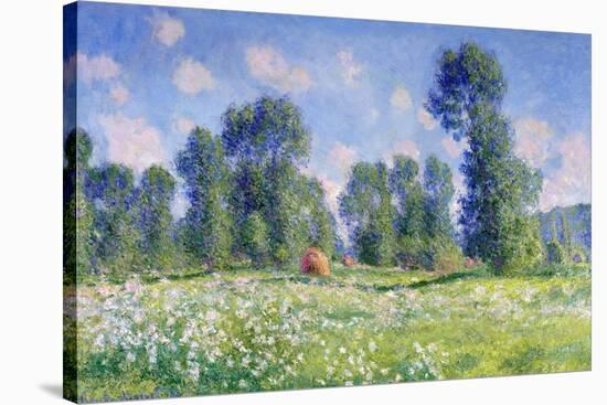 Effect of Spring, Giverny, 1890-Claude Monet-Stretched Canvas