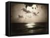 Effect of the Sun, Sunset at a Beach-Gustave Le Gray-Framed Stretched Canvas