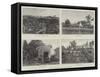 Effects of the Fire and Explosion at Antwerp-null-Framed Stretched Canvas