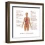 Effects of Tobacco Use-Gwen Shockey-Framed Art Print