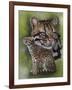 Efficacious-Barbara Keith-Framed Giclee Print