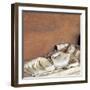 Effigy of a youth on a Roman sarcophagus, 2nd century-Unknown-Framed Giclee Print