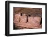 Effigy of Edward (1471-84), Sheriff Hutton Church, Yorkshire, 20th century-CM Dixon-Framed Photographic Print