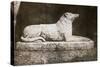 Effigy of Sir Walter Scott's Favourite Dog, Maida-William Henry Fox Talbot-Stretched Canvas