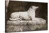 Effigy of Sir Walter Scott's Favourite Dog, Maida-William Henry Fox Talbot-Stretched Canvas