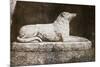 Effigy of Sir Walter Scott's Favourite Dog, Maida-William Henry Fox Talbot-Mounted Giclee Print