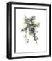 Effluence-Kiran Patel-Framed Art Print