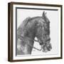 Effort-Barbara Keith-Framed Giclee Print