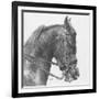 Effort-Barbara Keith-Framed Giclee Print