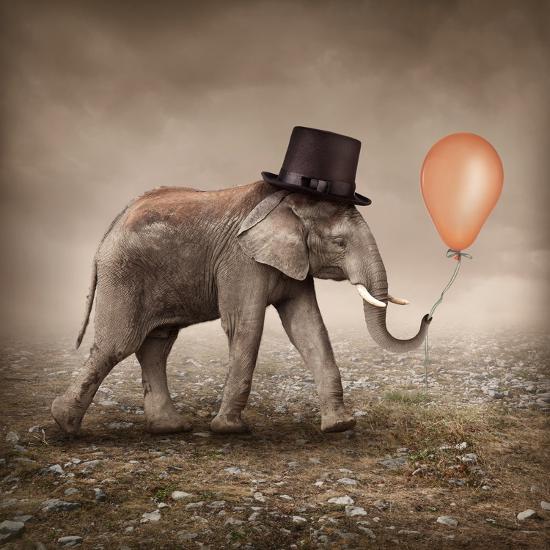 Premium Photographic Print, , large