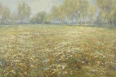 Meadow in Bloom, 1913-Egbert Rubertus Derk Schaap-Framed Art Print