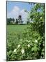 Egeskov Mill, Funen, Denmark, Scandinavia-Adam Woolfitt-Mounted Photographic Print