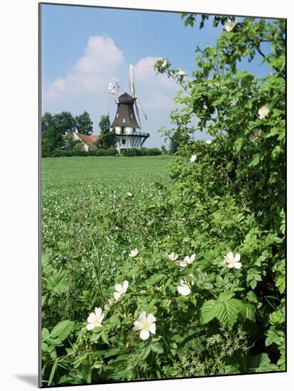 Egeskov Mill, Funen, Denmark, Scandinavia-Adam Woolfitt-Mounted Photographic Print