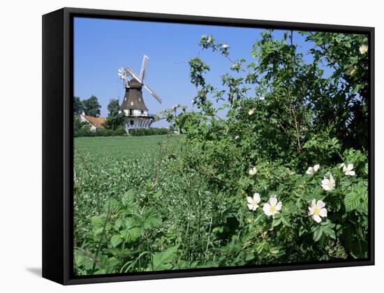 Egeskov Mill, Funen, Denmark, Scandinavia-Adam Woolfitt-Framed Stretched Canvas