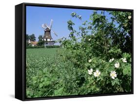 Egeskov Mill, Funen, Denmark, Scandinavia-Adam Woolfitt-Framed Stretched Canvas