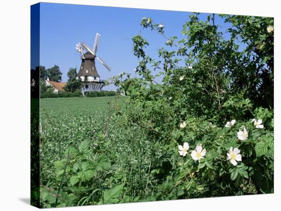 Egeskov Mill, Funen, Denmark, Scandinavia-Adam Woolfitt-Stretched Canvas