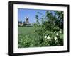 Egeskov Mill, Funen, Denmark, Scandinavia-Adam Woolfitt-Framed Photographic Print