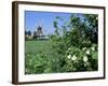 Egeskov Mill, Funen, Denmark, Scandinavia-Adam Woolfitt-Framed Photographic Print