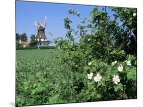 Egeskov Mill, Funen, Denmark, Scandinavia-Adam Woolfitt-Mounted Photographic Print