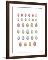 Egg Collection-Sandra Jacobs-Framed Giclee Print